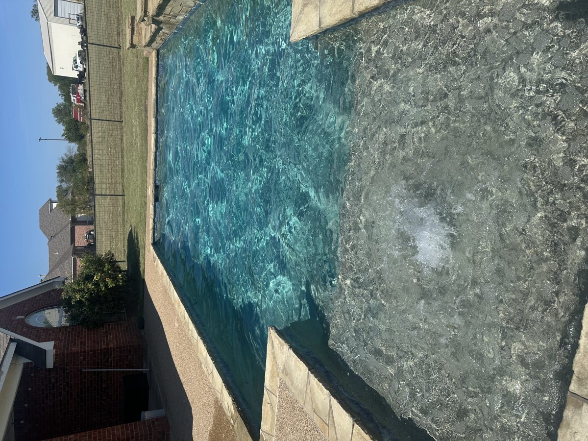 MoJo Pool Cleaning photo